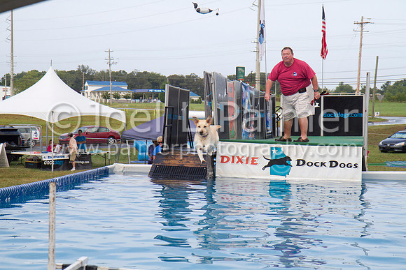 _MG_2498 dock dogs