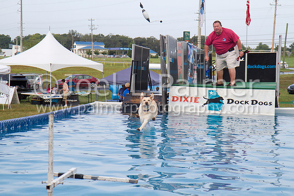 _MG_2499 dock dogs