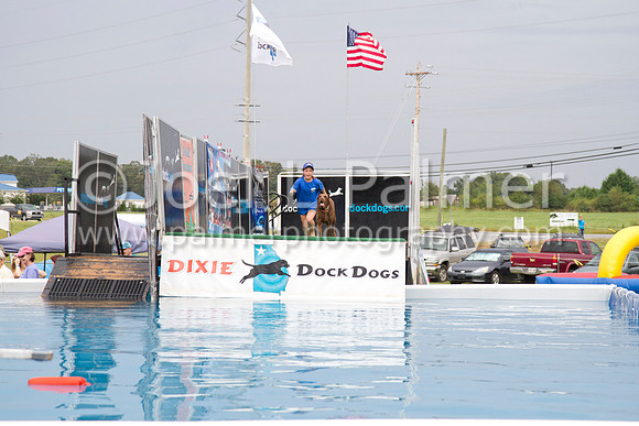 _MG_2274 dock dogs