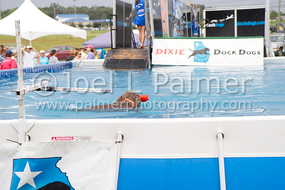 _MG_2291 dock dogs