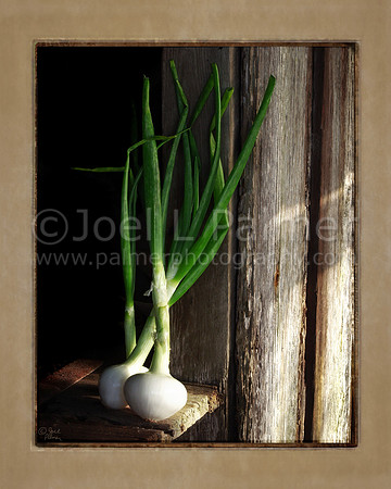 Vidalia Onions
