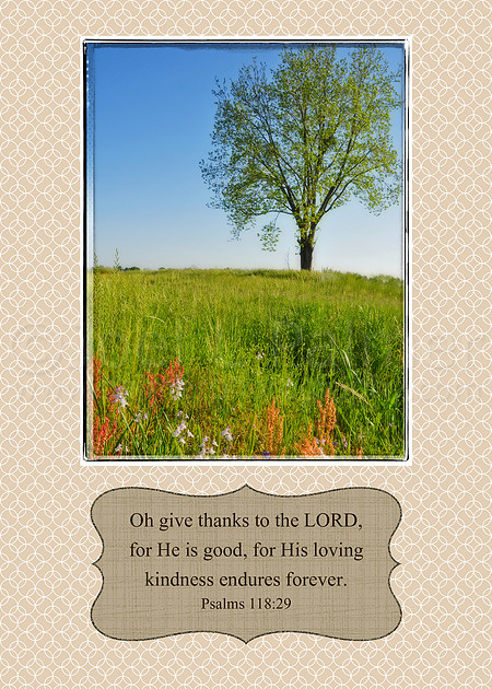 Scripture For Photographers Joel Palmer Photography | Scripture Prints