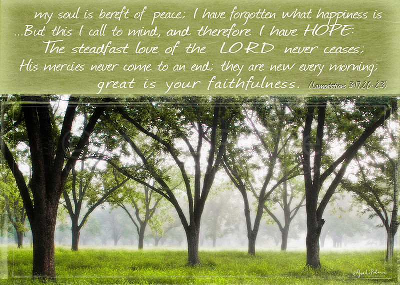 Scripture For Photographers Joel Palmer Photography | Scripture Prints
